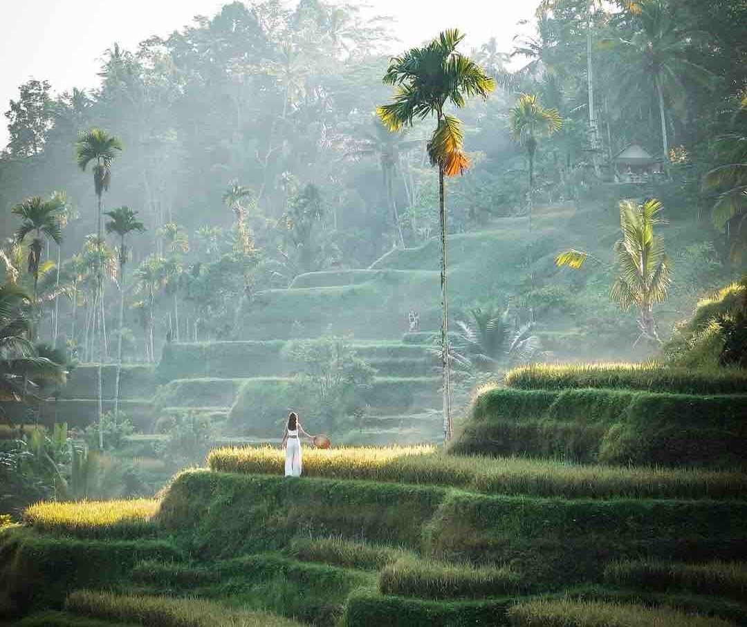 Bali Trip Cost from India 2026: Complete Budget Breakdown (INR)
